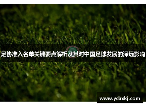 足协准入名单关键要点解析及其对中国足球发展的深远影响